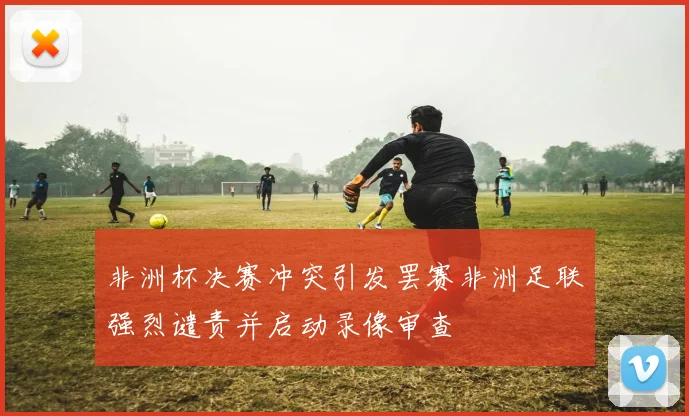 非洲杯决赛冲突引发罢赛非洲足联强烈谴责并启动录像审查